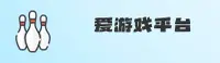 爱游戏体育官方网站